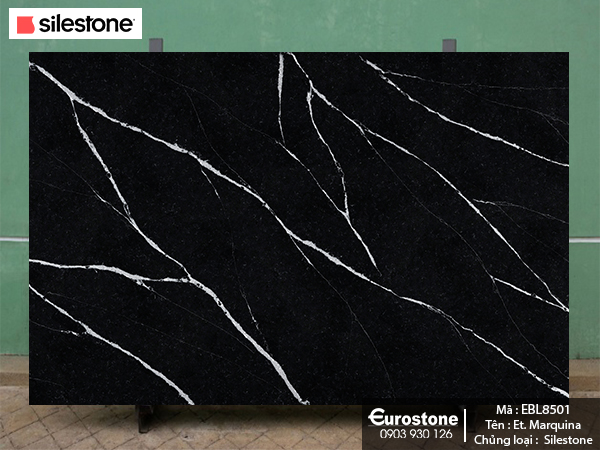 ebl8501 et marquina
