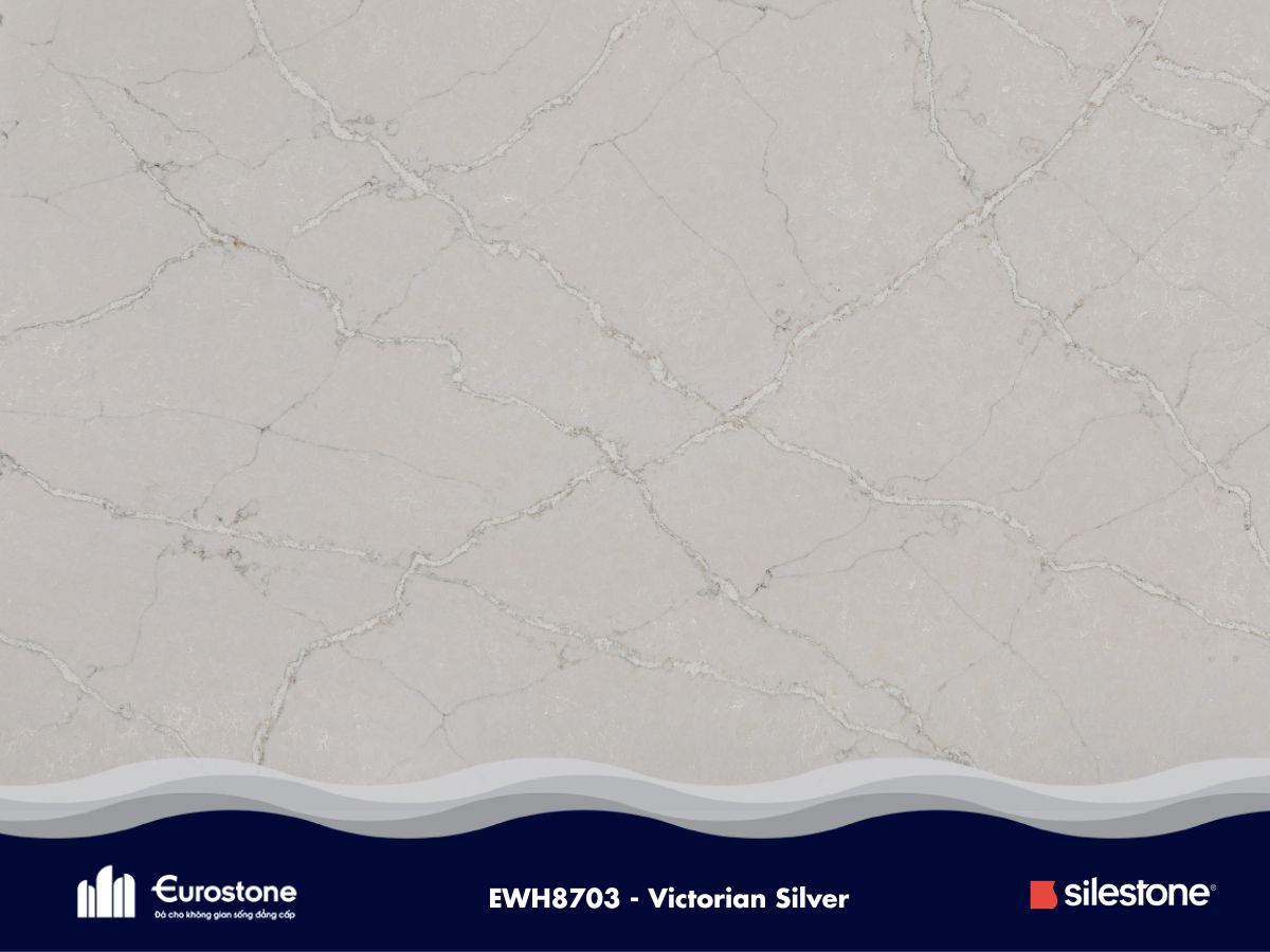 ewh8703 victorian silver 10