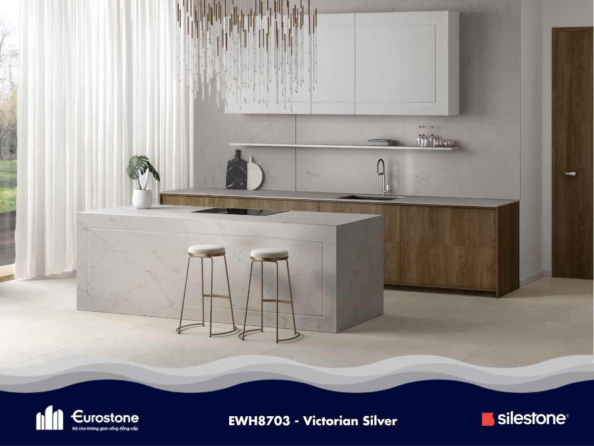 ewh8703 victorian silver 2