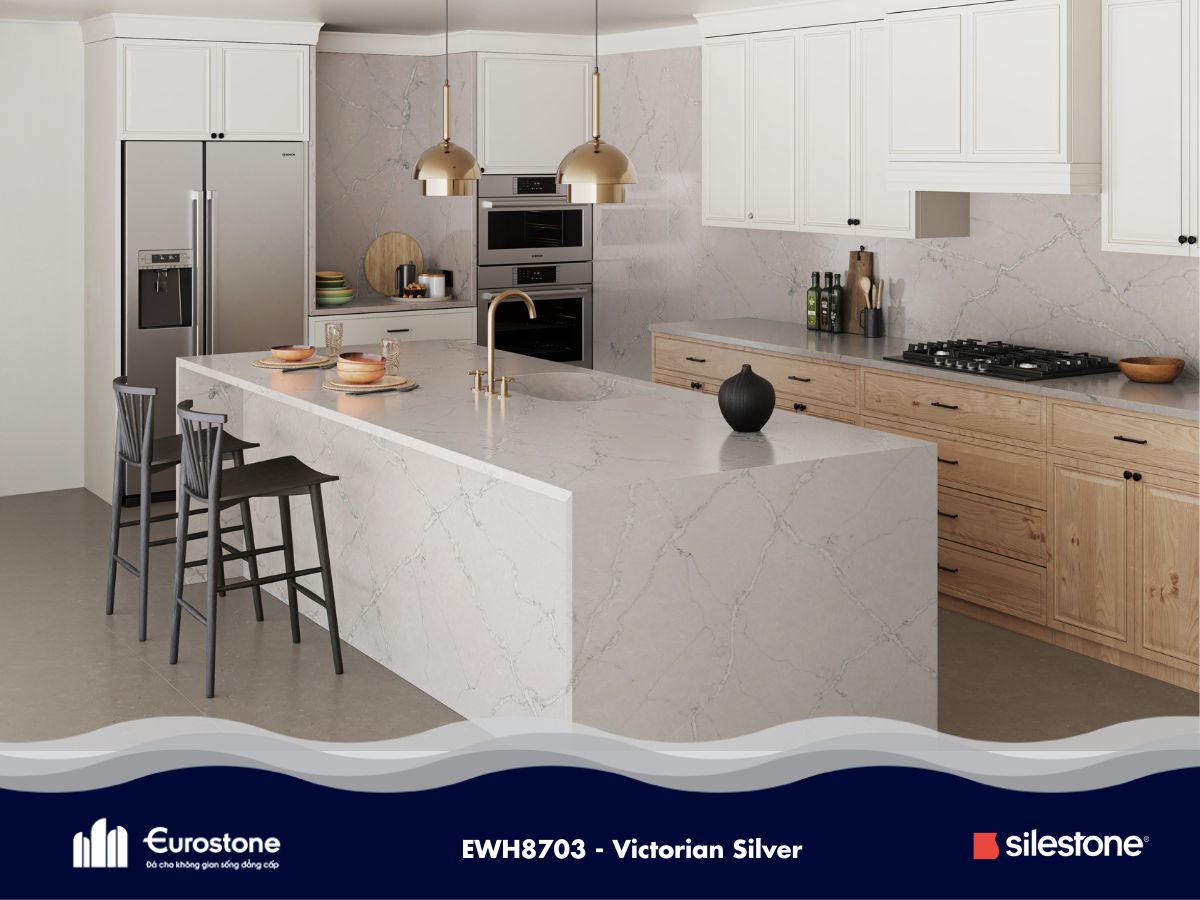 ewh8703 victorian silver 6